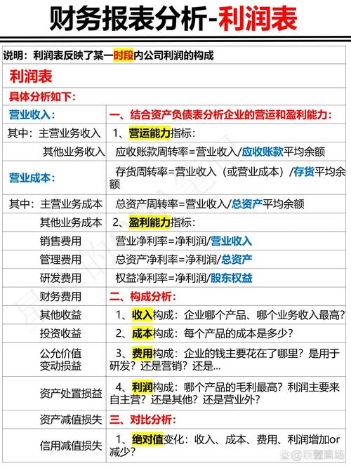 营收来源及盈利能力分析报告(营收 盈利)